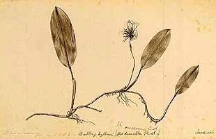  no thumbnail available