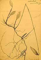  no thumbnail available