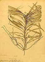  no thumbnail available