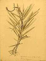  no thumbnail available