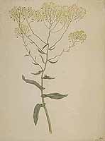  no thumbnail available