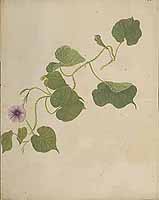  no thumbnail available