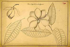  no thumbnail available