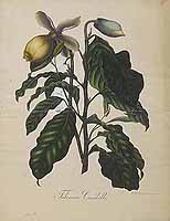  no thumbnail available