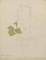  no thumbnail available