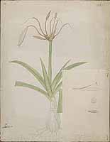  no thumbnail available