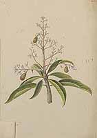  no thumbnail available