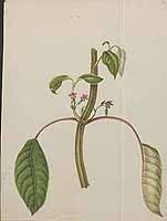  no thumbnail available