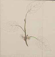  no thumbnail available