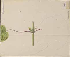  no thumbnail available