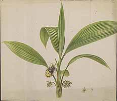  no thumbnail available