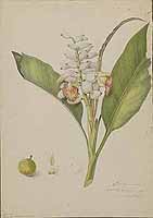  no thumbnail available