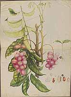  no thumbnail available