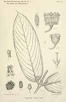  no thumbnail available