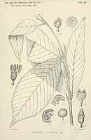  no thumbnail available