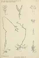  no thumbnail available