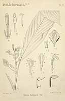  no thumbnail available