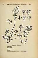  no thumbnail available