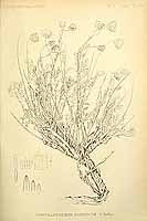  no thumbnail available