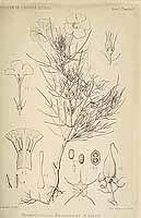  no thumbnail available