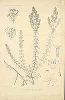  no thumbnail available