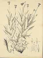  no thumbnail available