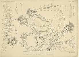  no thumbnail available