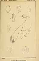  no thumbnail available