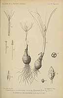  no thumbnail available