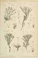  no thumbnail available