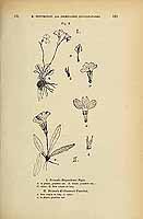  no thumbnail available