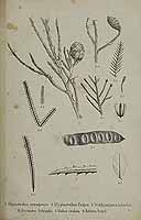  no thumbnail available