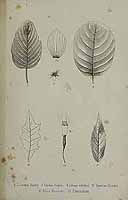  no thumbnail available