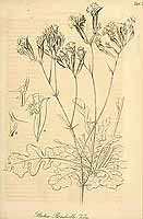  no thumbnail available