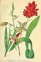  no thumbnail available