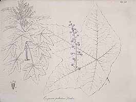  no thumbnail available