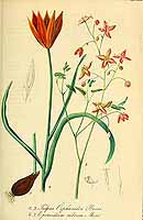  no thumbnail available