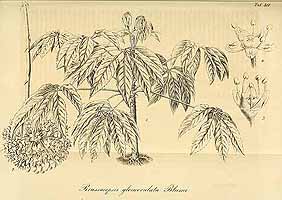  no thumbnail available