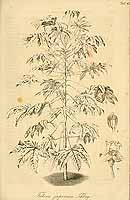  no thumbnail available