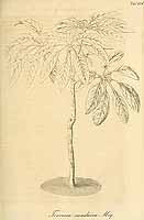  no thumbnail available