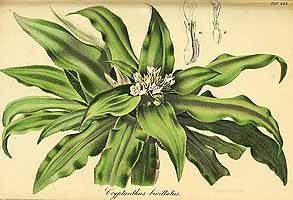  no thumbnail available