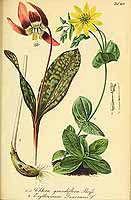  no thumbnail available