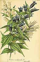  no thumbnail available