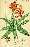  no thumbnail available