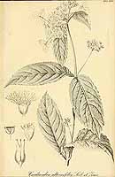  no thumbnail available