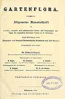  no thumbnail available