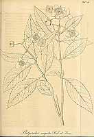  no thumbnail available