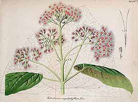  no thumbnail available