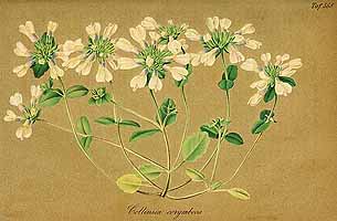  no thumbnail available