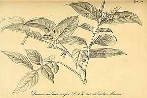  no thumbnail available